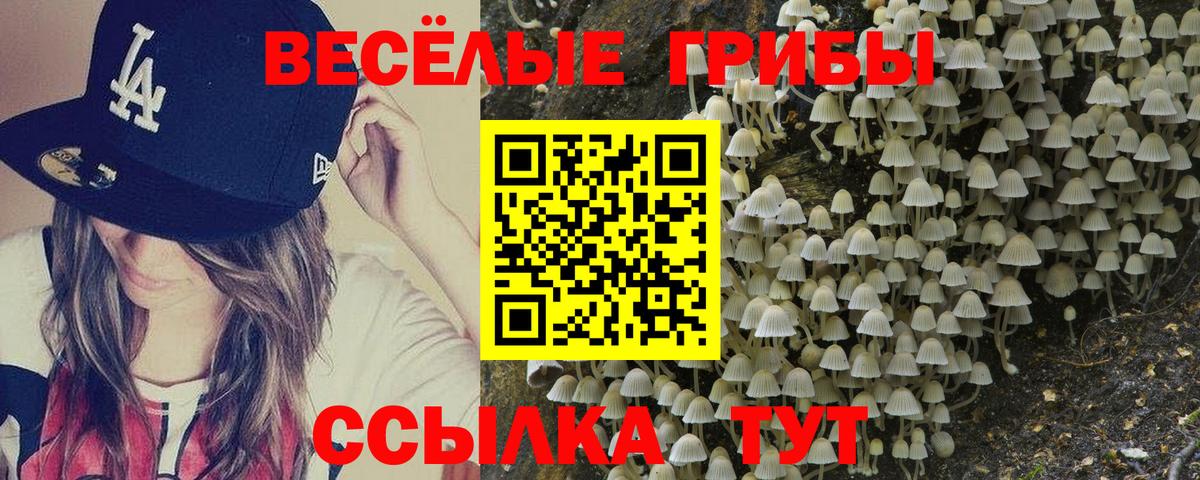 Псилоцибиновые грибы мухоморы Свободный