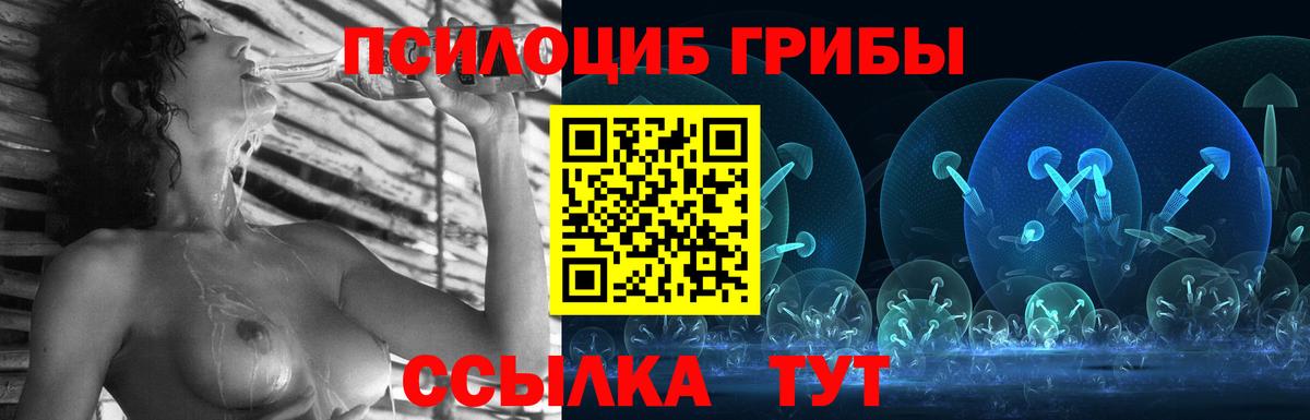 продажа наркотиков  Галлюциногенные грибы GOLDEN TEACHER  Вход с VPN  Свободный 