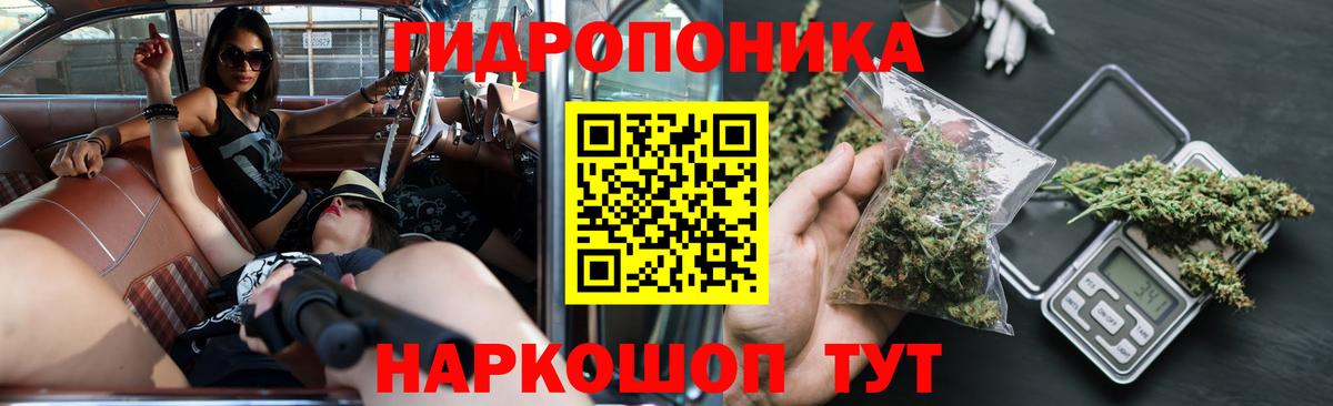 Конопля AK-47 Свободный